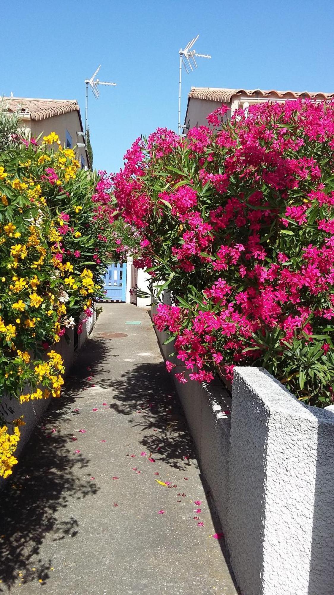 Villa Les Amandines Agde Exterior foto